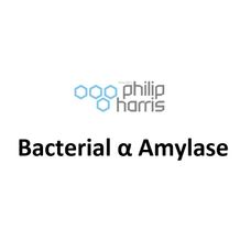 Bacterial Alpha Amylase - 50g